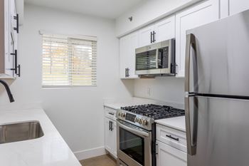 Gas range stove